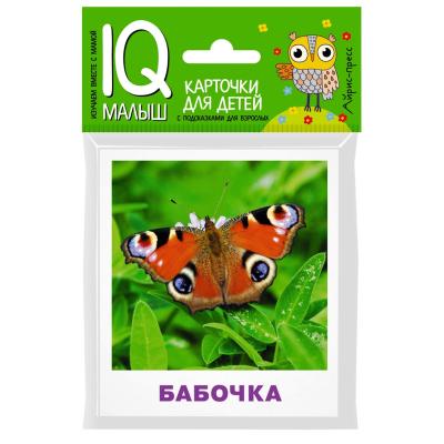 Умный малыш Насекомые 25951