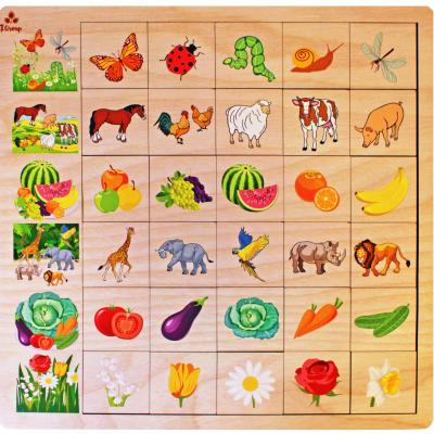 Развивающая игра Ассоциации Природа IG0151
