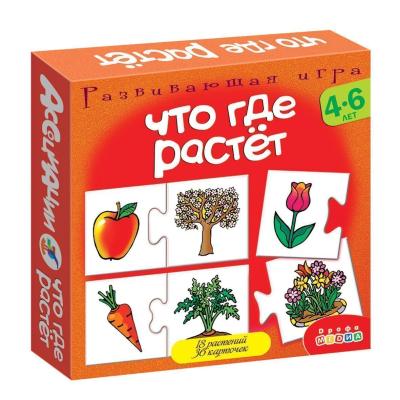 Ассоциации Что где растет 2929