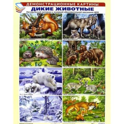 Демонстрационные картины Дикие дживотные