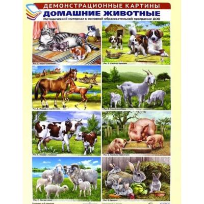 Демонстрационные картины Домашние животные