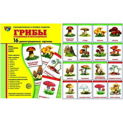 Грибы съедобные и несъедобные