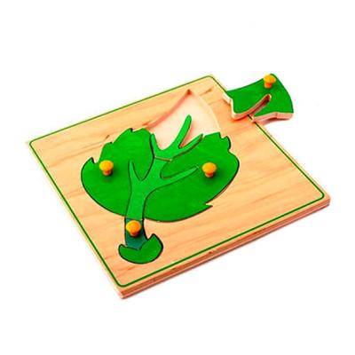 Лист и его части 1448