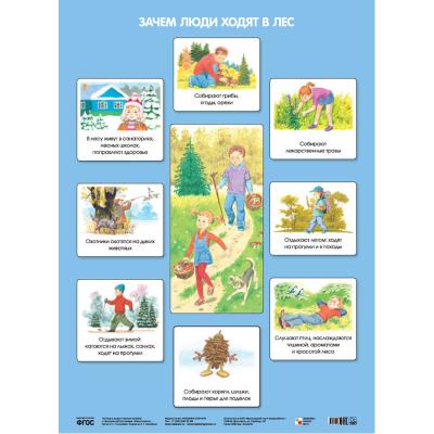 Зачем люди ходят в лес МС10636