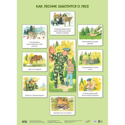 Как лесник заботится о лесе МС10637