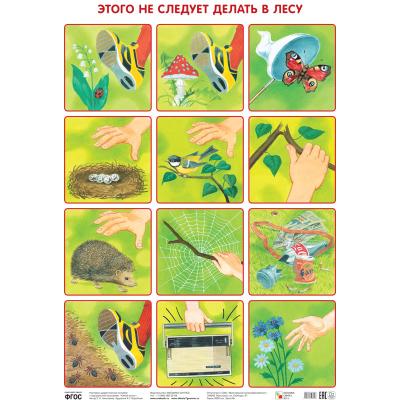 Этого не следует делать в лесу МС10640