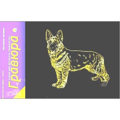 Гравюра А5 в пакете с ручкой. Золото. НЕМЕЦКАЯ ОВЧАРКА Г-4883