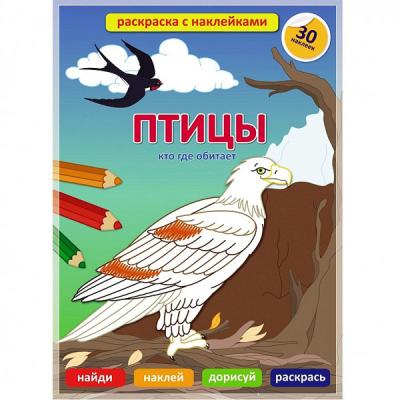 Обучающая раскраска с наклейками. Птицы. Кто где обитает