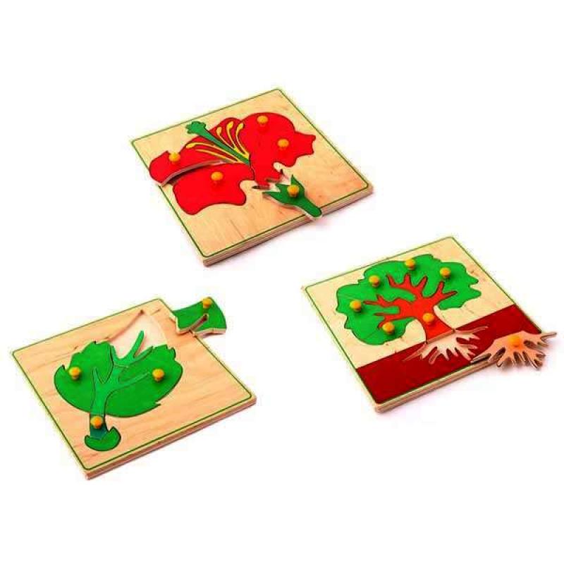 Биология 1445 