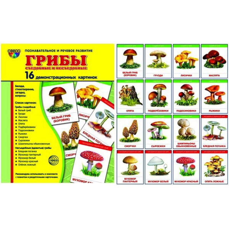 Грибы съедобные и несъедобные