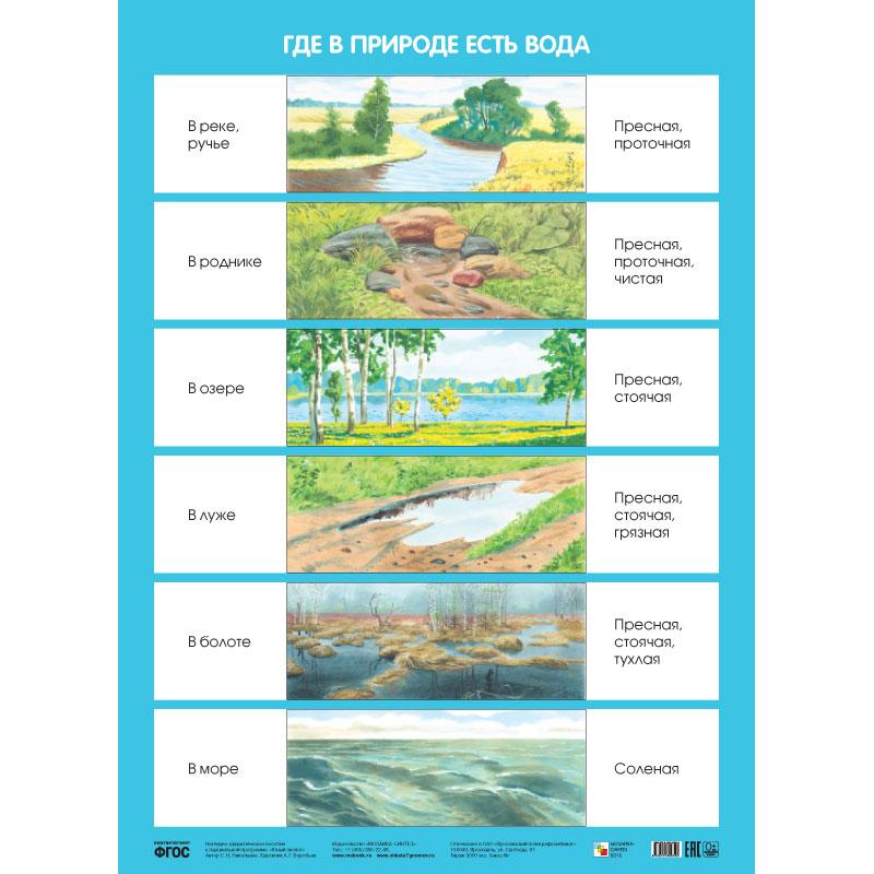 Где в природе есть вода МС10634 