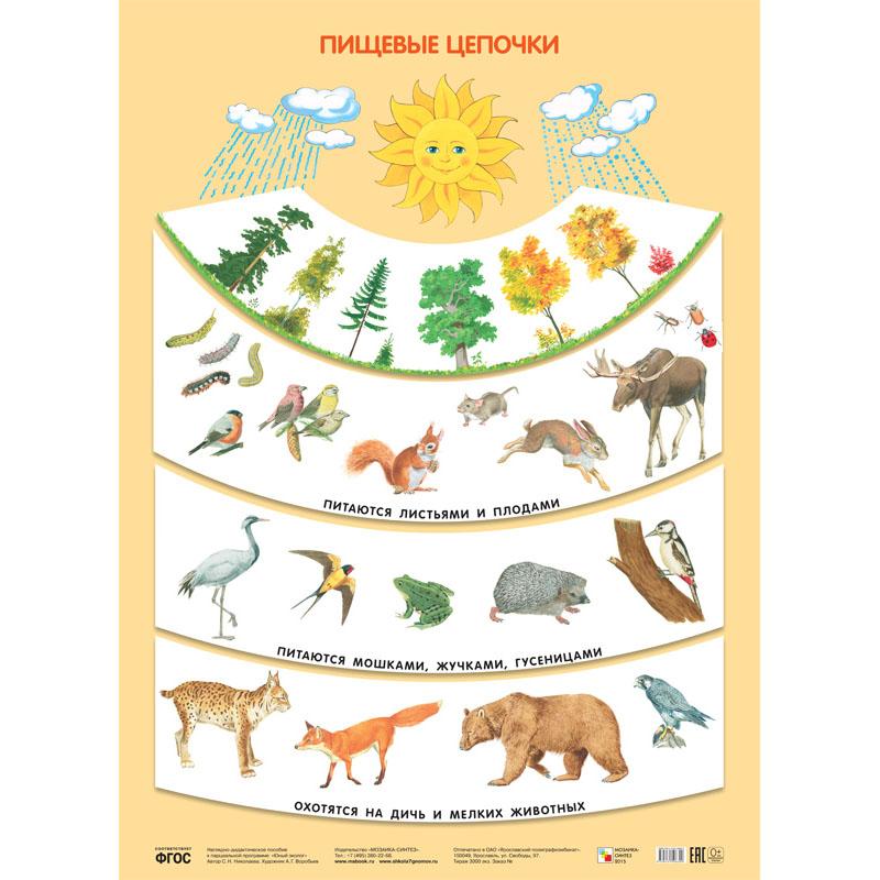 Пищевые цепочки МС10639
