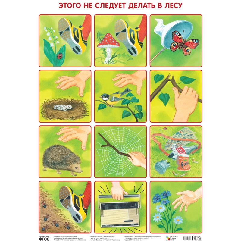 Этого не следует делать в лесу МС10640