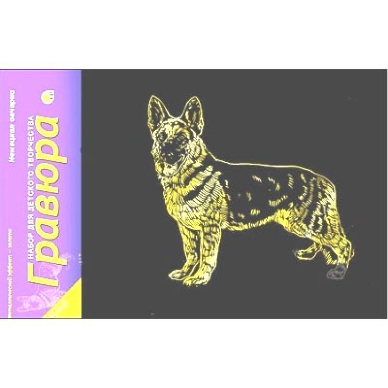 Гравюра А5 в пакете с ручкой. Золото. НЕМЕЦКАЯ ОВЧАРКА Г-4883